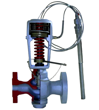 self regulation tebco